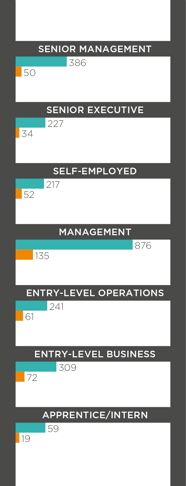Ethnicity and Career Level